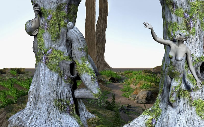 Enchanted Forest Lighting